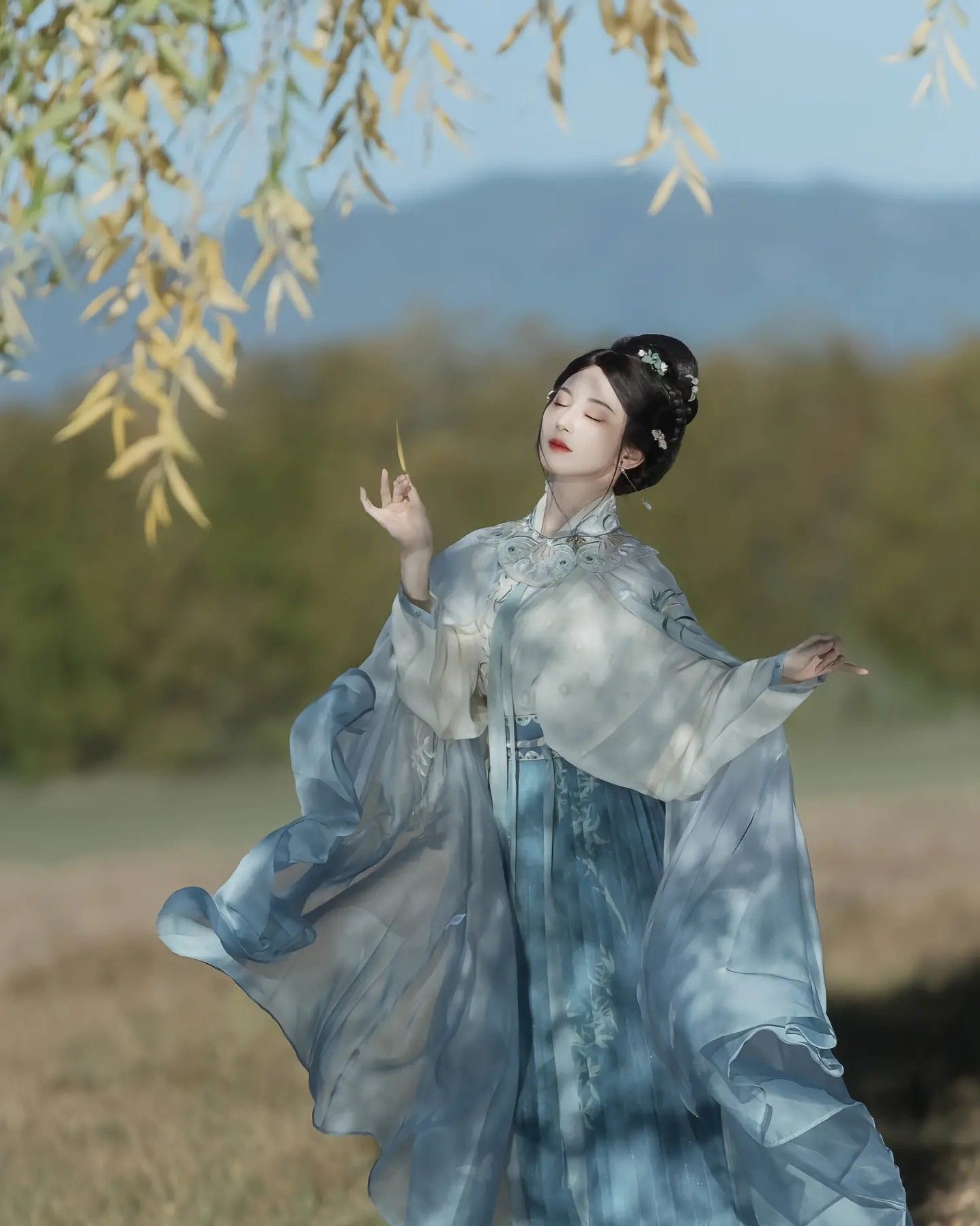 The Charm of Dark-Colored Tang-Style Hanfu:A Journey into Ancient Chinese Elegance The Charm of Dark-Colored Tang-Style Hanfu:A Journey into Ancient Chinese Elegance
