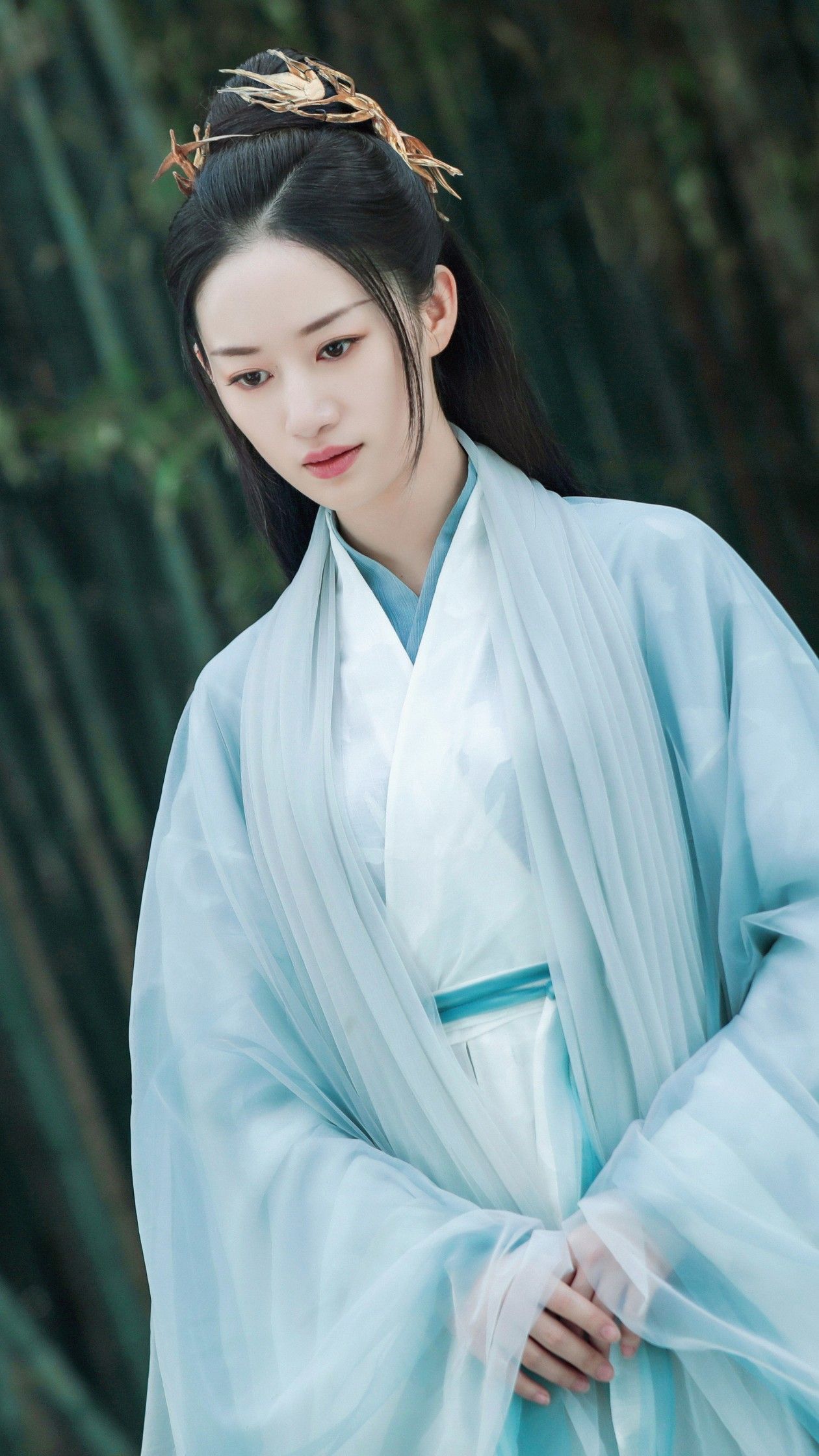 The Evolution of Hairpieces in Hanfu Fashion:A Blend of Tradition and Modernity The Evolution of Hairpieces in Hanfu Fashion:A Blend of Tradition and Modernity