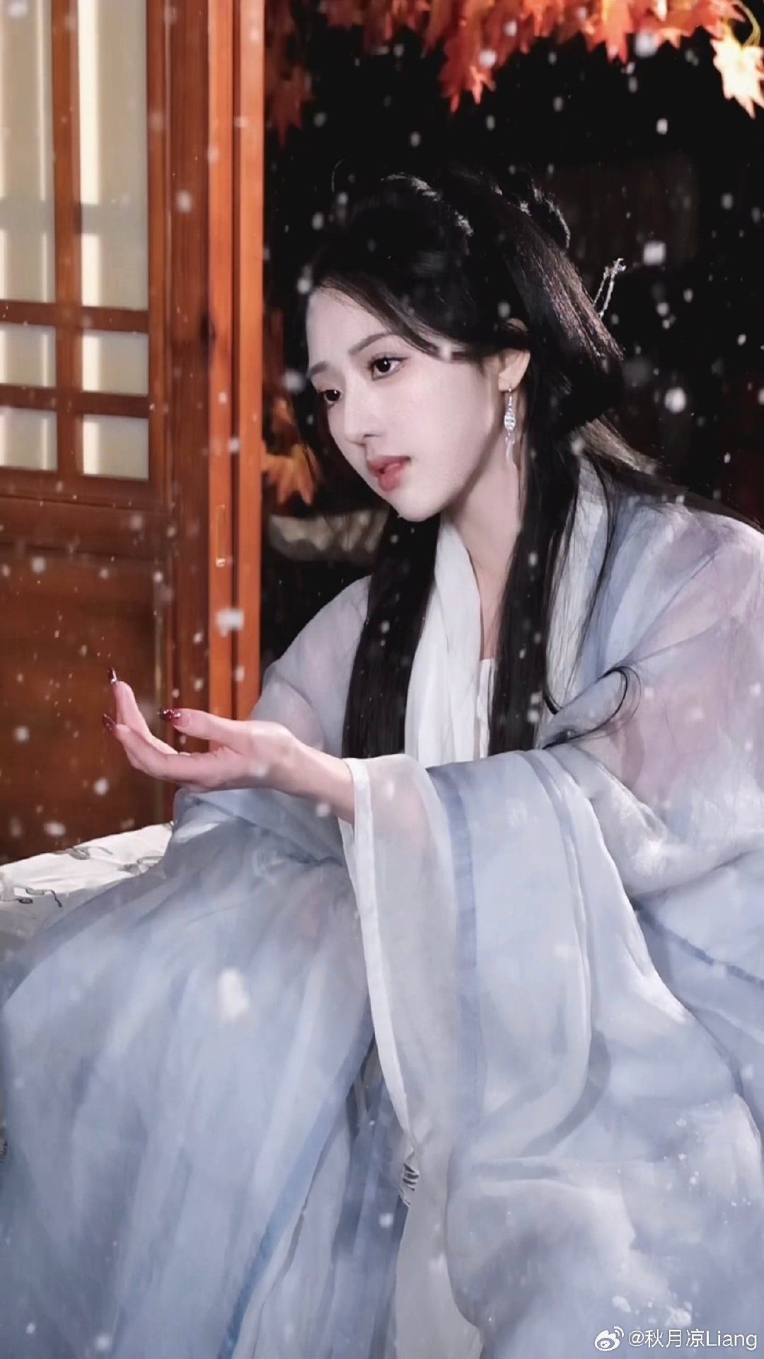 The Plum Blossom and the Fall of Hanfu:A Tale of Traditional Beauty and Cultural Heritage The Plum Blossom and the Fall of Hanfu:A Tale of Traditional Beauty and Cultural Heritage