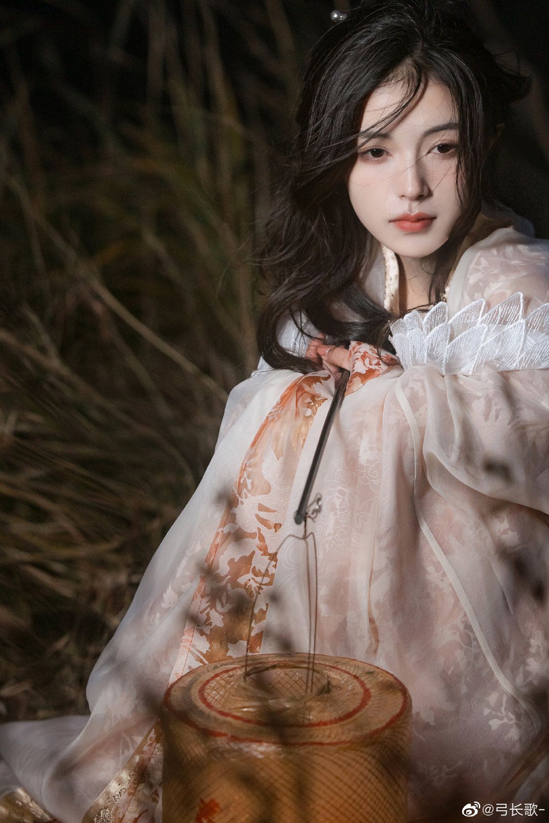 The Enchanting Journey of a 4-Year-Old Hanfu Girl The Enchanting Journey of a 4-Year-Old Hanfu Girl