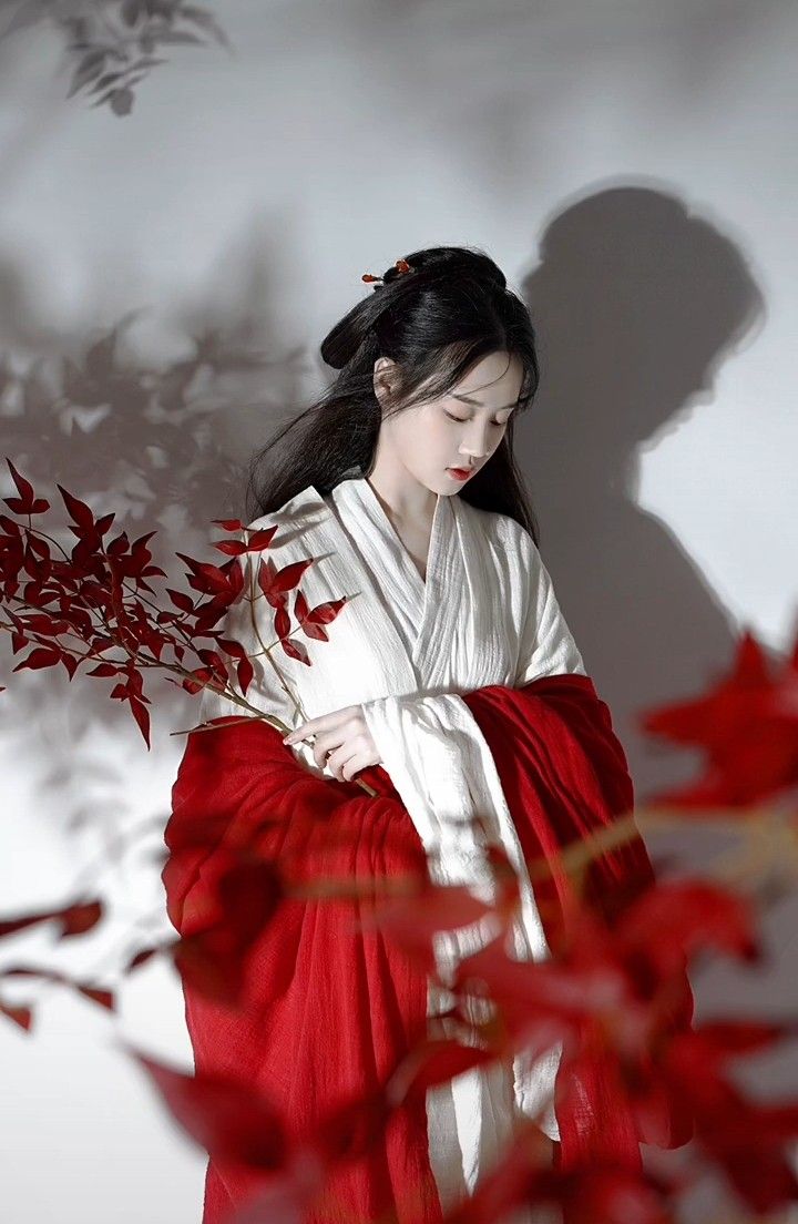 Splendor of Song-Era Red Hanfu:A Journey into Traditional Chinese Elegance Splendor of Song-Era Red Hanfu:A Journey into Traditional Chinese Elegance
