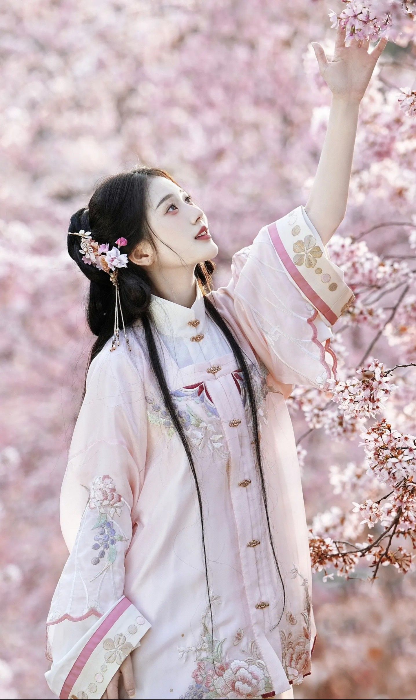 The Peripheries of Hanfu:Exploring the World of Traditional Chinese Fashion Accessories The Peripheries of Hanfu:Exploring the World of Traditional Chinese Fashion Accessories