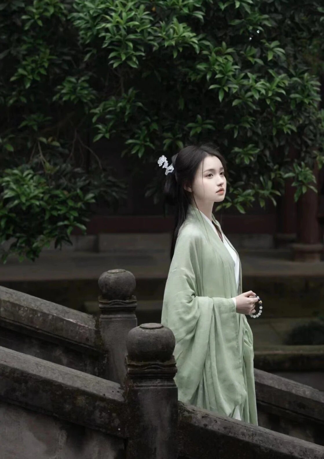 Embellishments on Cheongsam:A Glimpse into the Splendor of Traditional Chinese Dress Embellishments on Cheongsam:A Glimpse into the Splendor of Traditional Chinese Dress