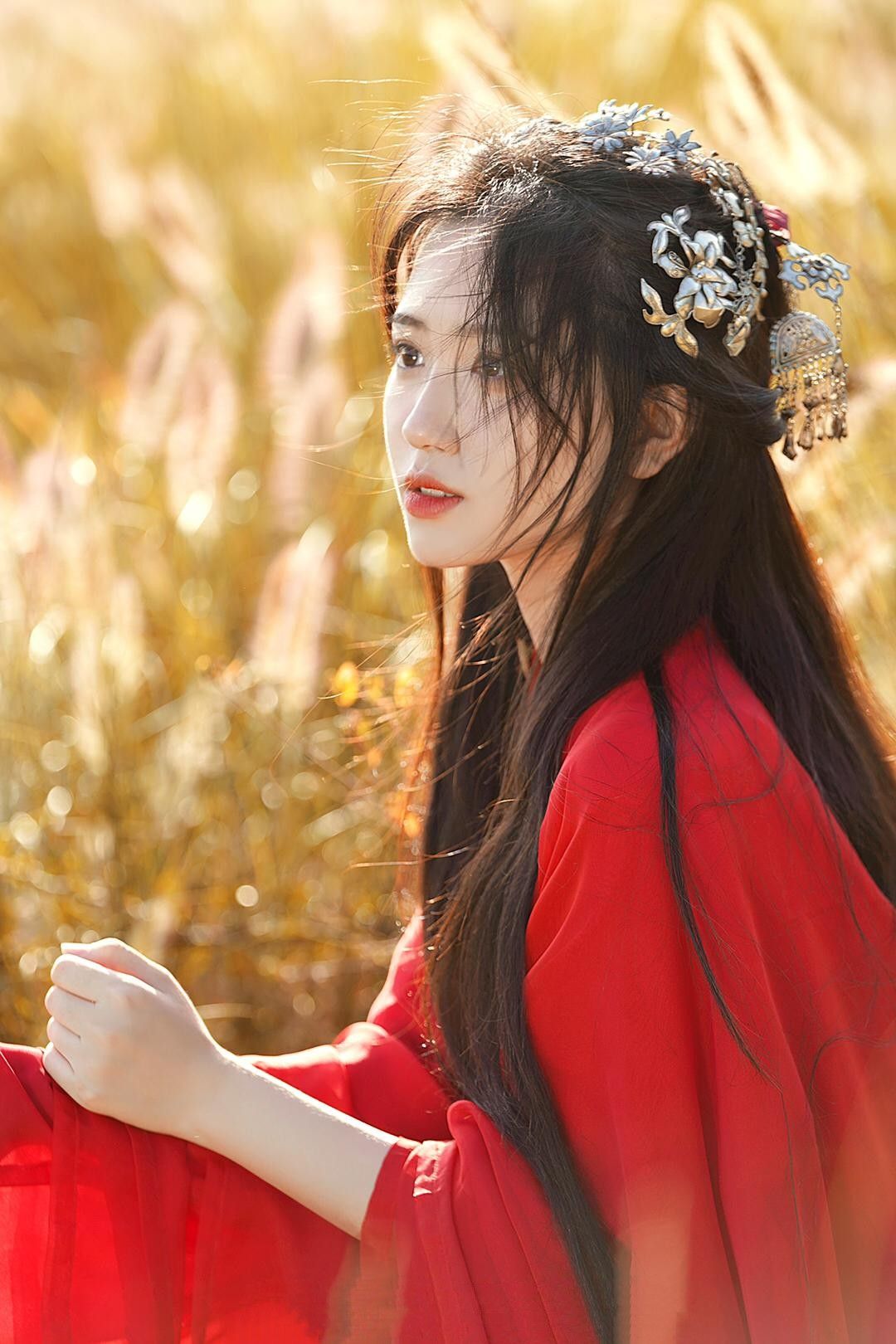 Elegant and Enchanting Hanfu:The Splendor of Traditional Chinese Clothing Elegant and Enchanting Hanfu:The Splendor of Traditional Chinese Clothing
