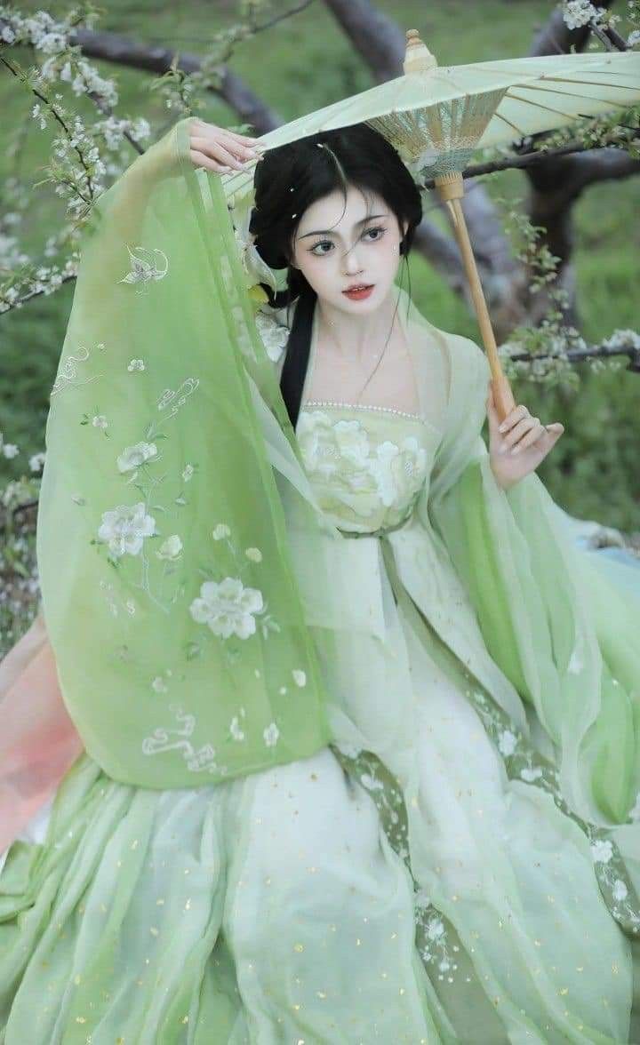 The Allure of the Mature Lady:The Diversity of Qipao Skirts The Allure of the Mature Lady:The Diversity of Qipao Skirts