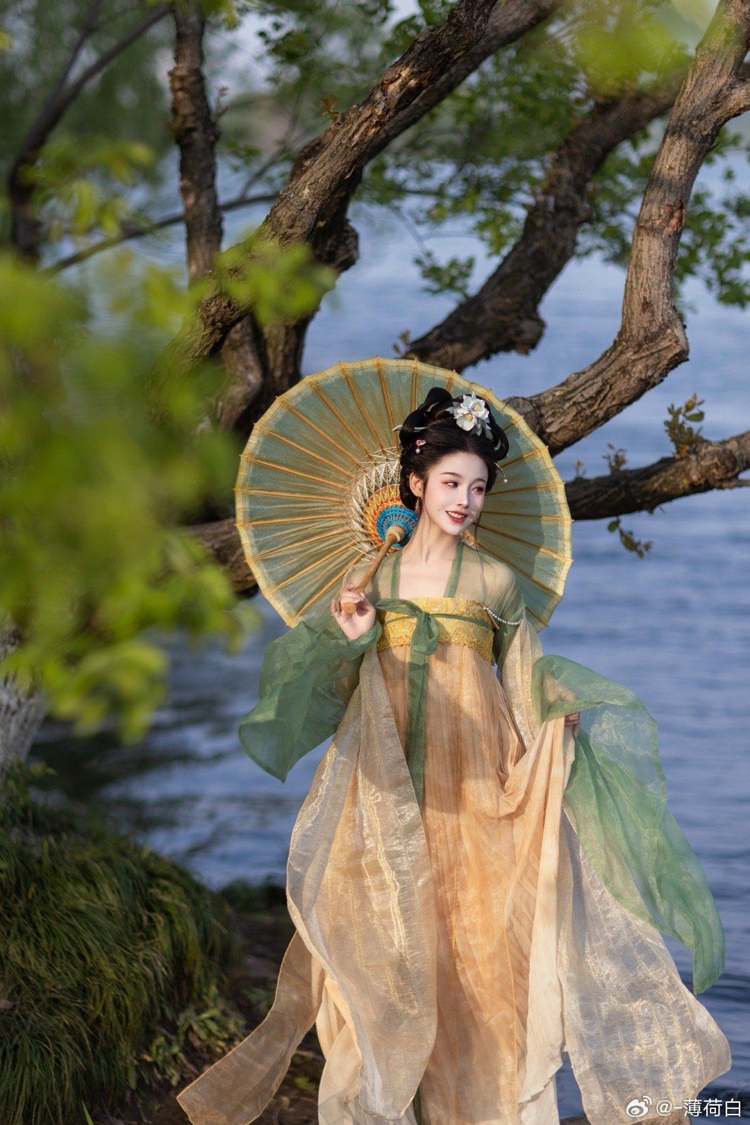 Ancient Elegance:The Allure of Traditional Costume Gowns Ancient Elegance:The Allure of Traditional Costume Gowns