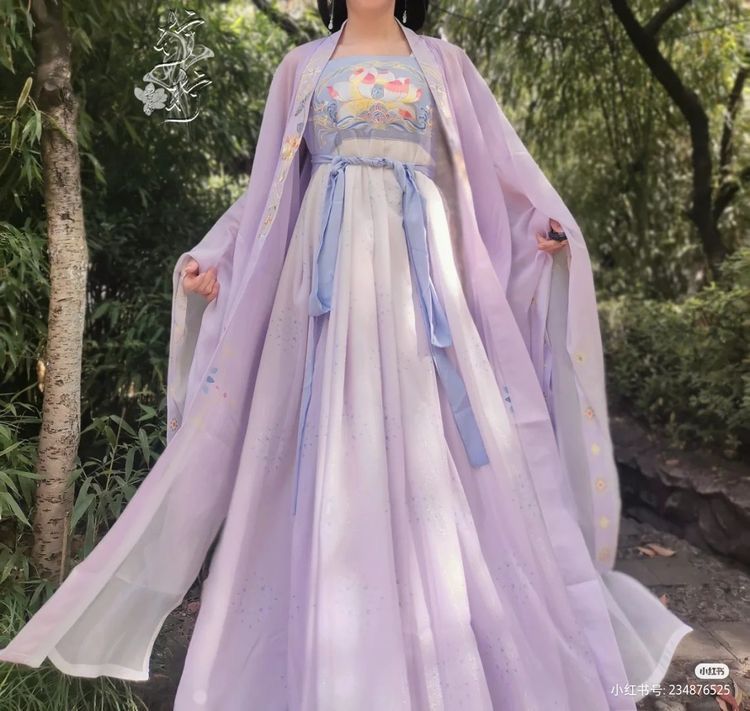 The Splendor of Red and Blue Tang-Style Hanfu:A Journey into Traditional Chinese Clothing The Splendor of Red and Blue Tang-Style Hanfu:A Journey into Traditional Chinese Clothing