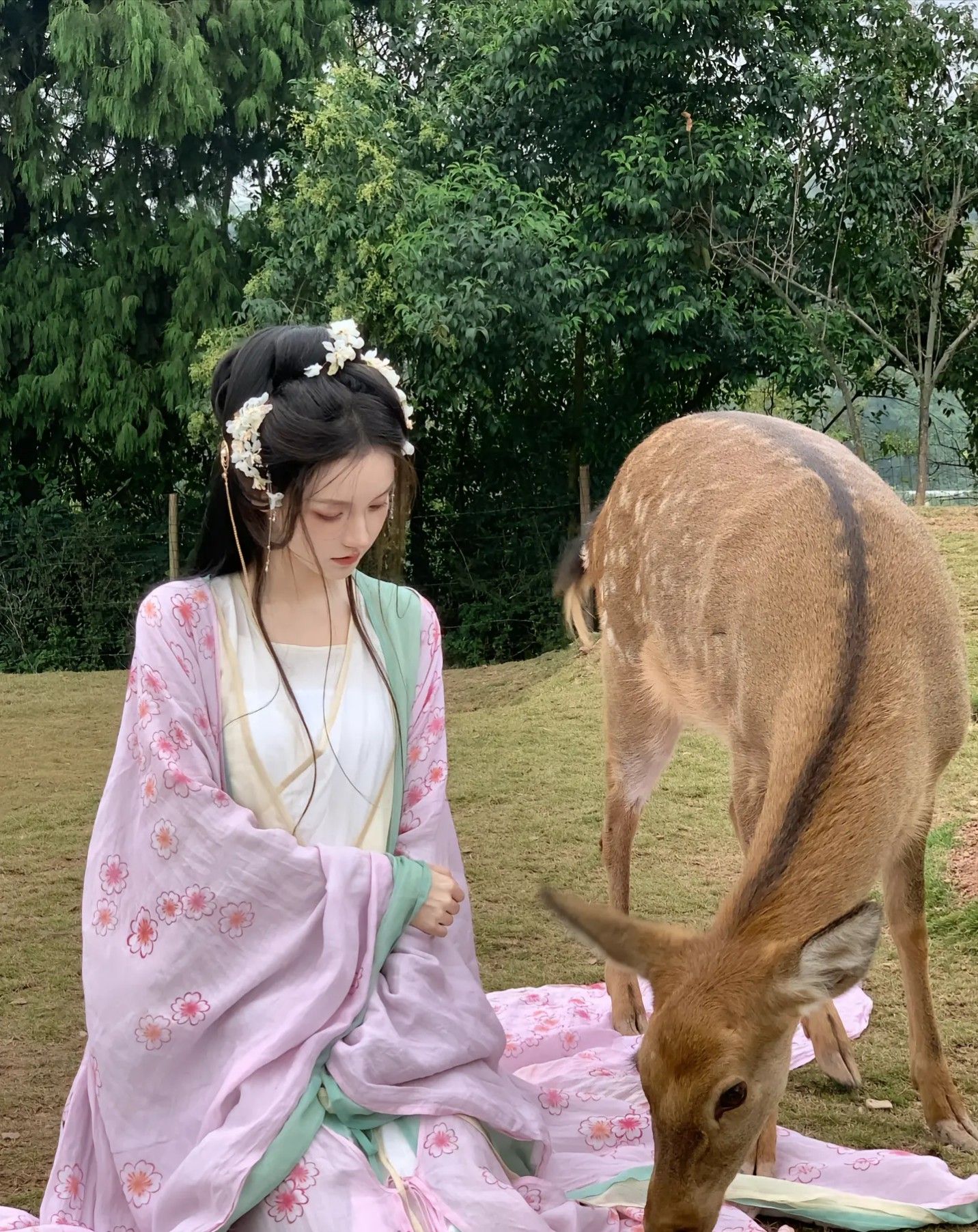 The Charm of Cheongsam-Inspired Collarless Blouses with Half-Sleeve Elegance The Charm of Cheongsam-Inspired Collarless Blouses with Half-Sleeve Elegance