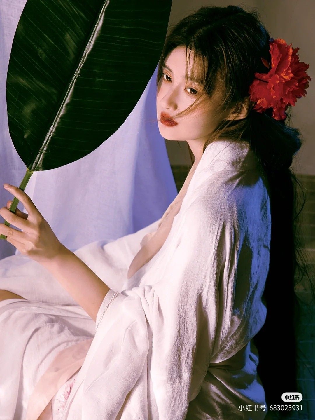 Adult Hanfu Performance Costumes:Embracing Traditional Elegance Through Modern Lens Adult Hanfu Performance Costumes:Embracing Traditional Elegance Through Modern Lens
