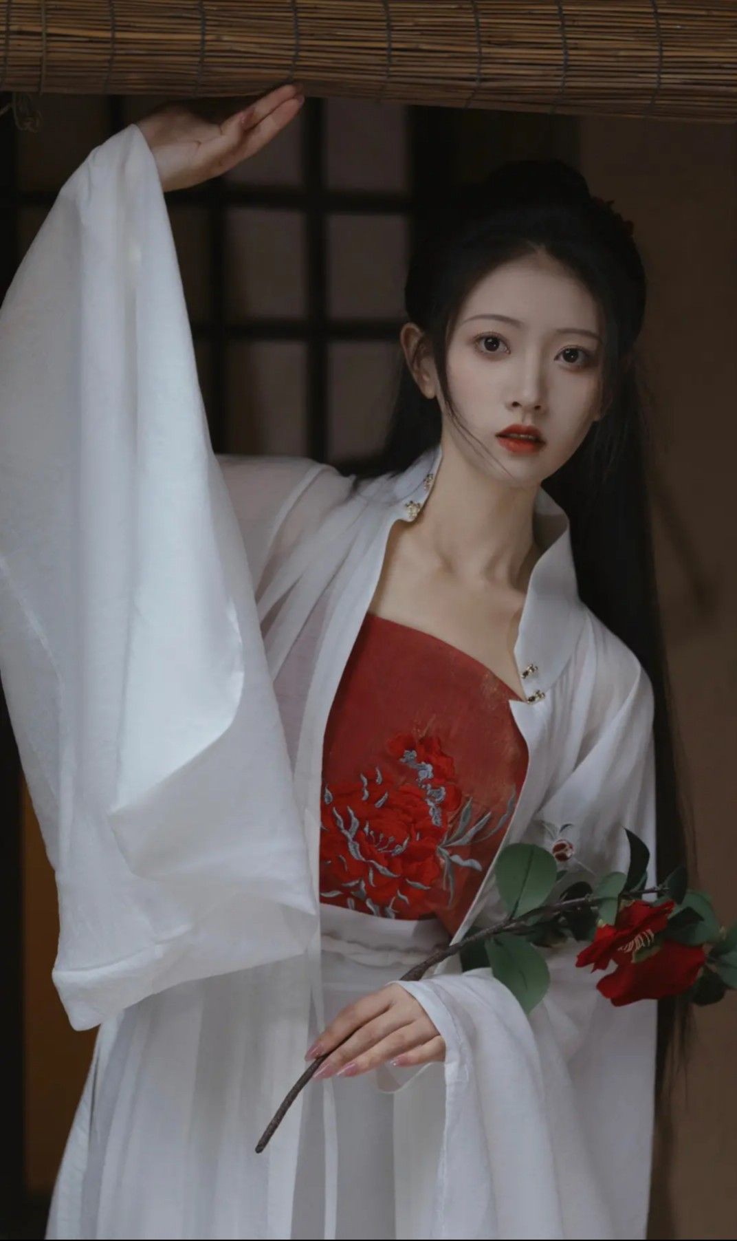 The Rise of Ming-Style Hanfu Women:Embracing Traditional Elegance in Modern Times The Rise of Ming-Style Hanfu Women:Embracing Traditional Elegance in Modern Times