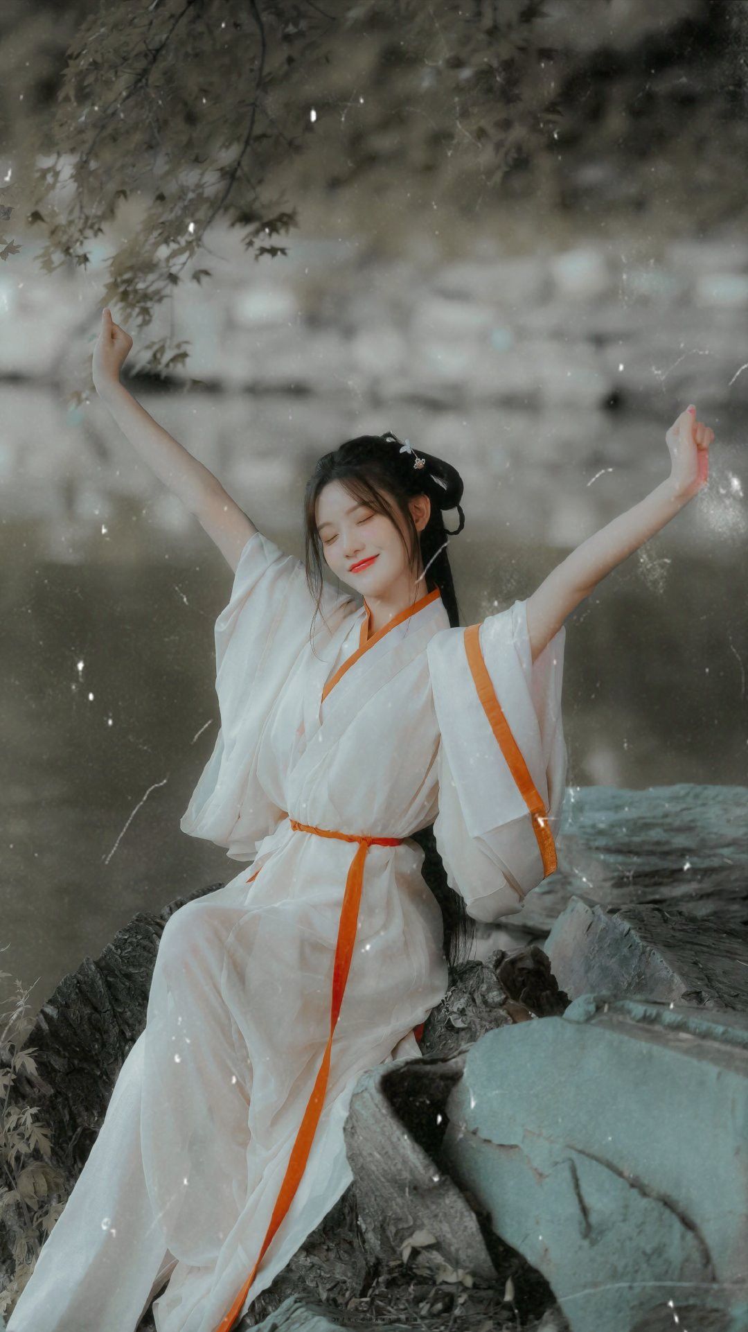 Moon Orchid Cats and Traditional Chinese Hanfu Fashion:A Cultural Blend Moon Orchid Cats and Traditional Chinese Hanfu Fashion:A Cultural Blend