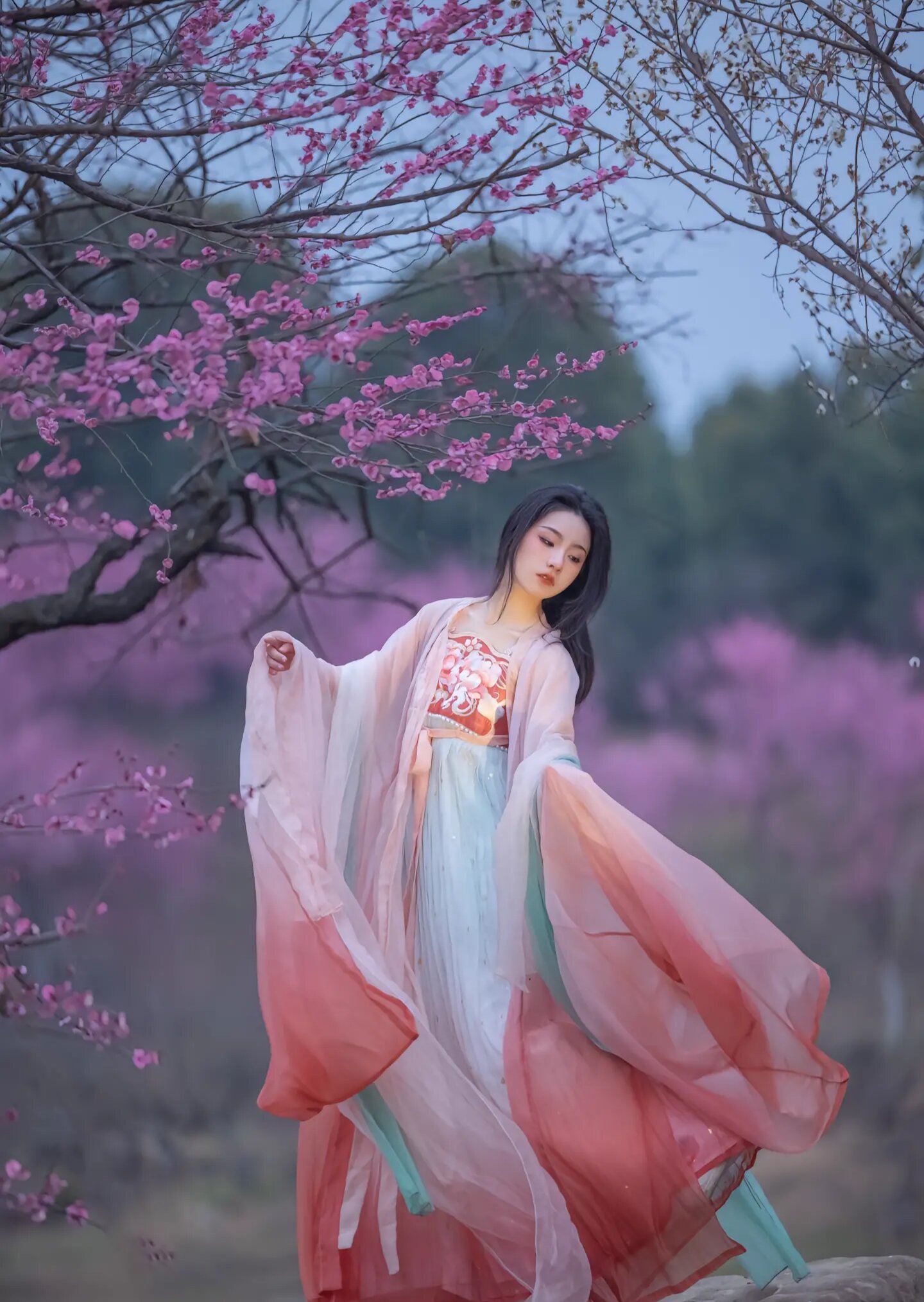 Chinese Red Traditional Costume Set for Women:The Splendor of Hanfu Fashion Chinese Red Traditional Costume Set for Women:The Splendor of Hanfu Fashion