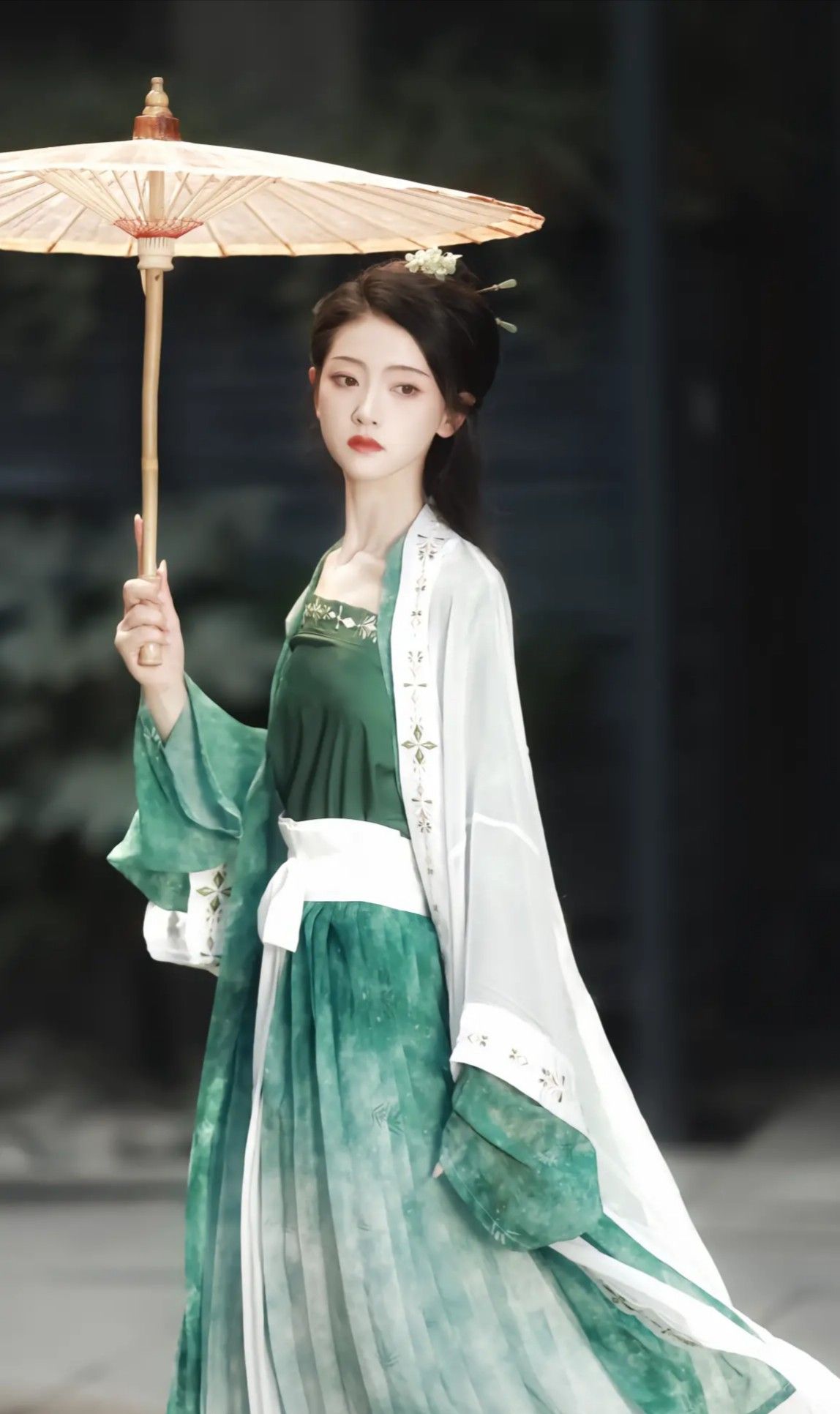 The Enchanting Journey of a Little Princess in Traditional Tang-Style Cheongsam The Enchanting Journey of a Little Princess in Traditional Tang-Style Cheongsam