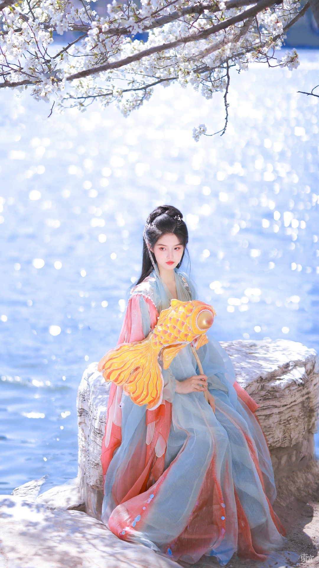 The Cheongsam and Shark Clip:A Blend of Traditional Elegance and Modern Style