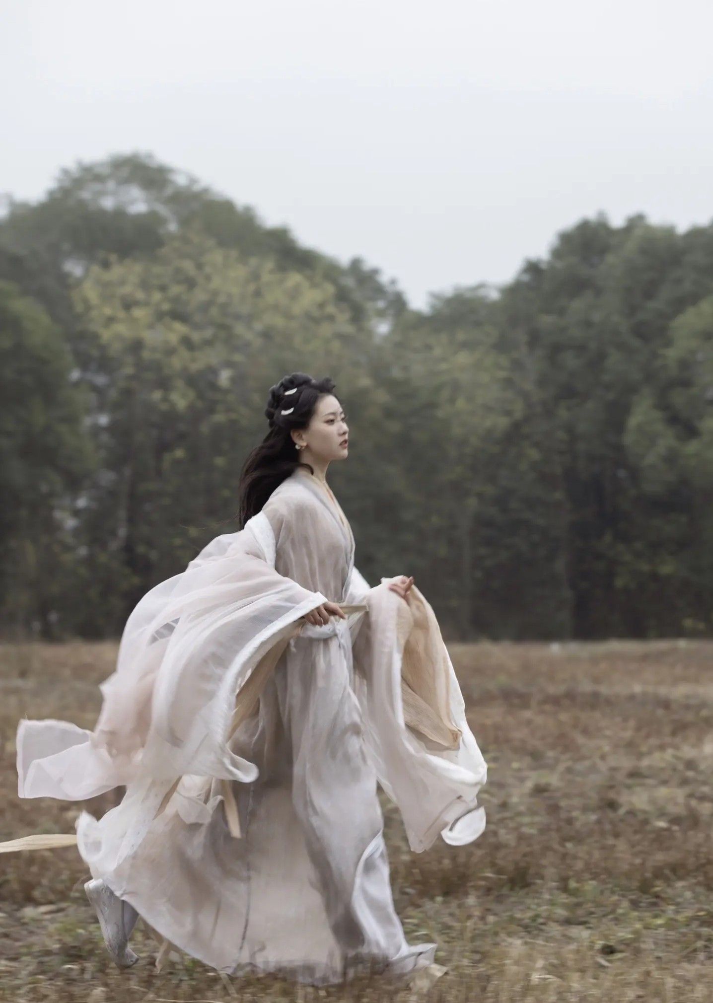 The Splendor of Red Collared Hanfu Blouse:A Journey into Traditional Chinese Elegance The Splendor of Red Collared Hanfu Blouse:A Journey into Traditional Chinese Elegance