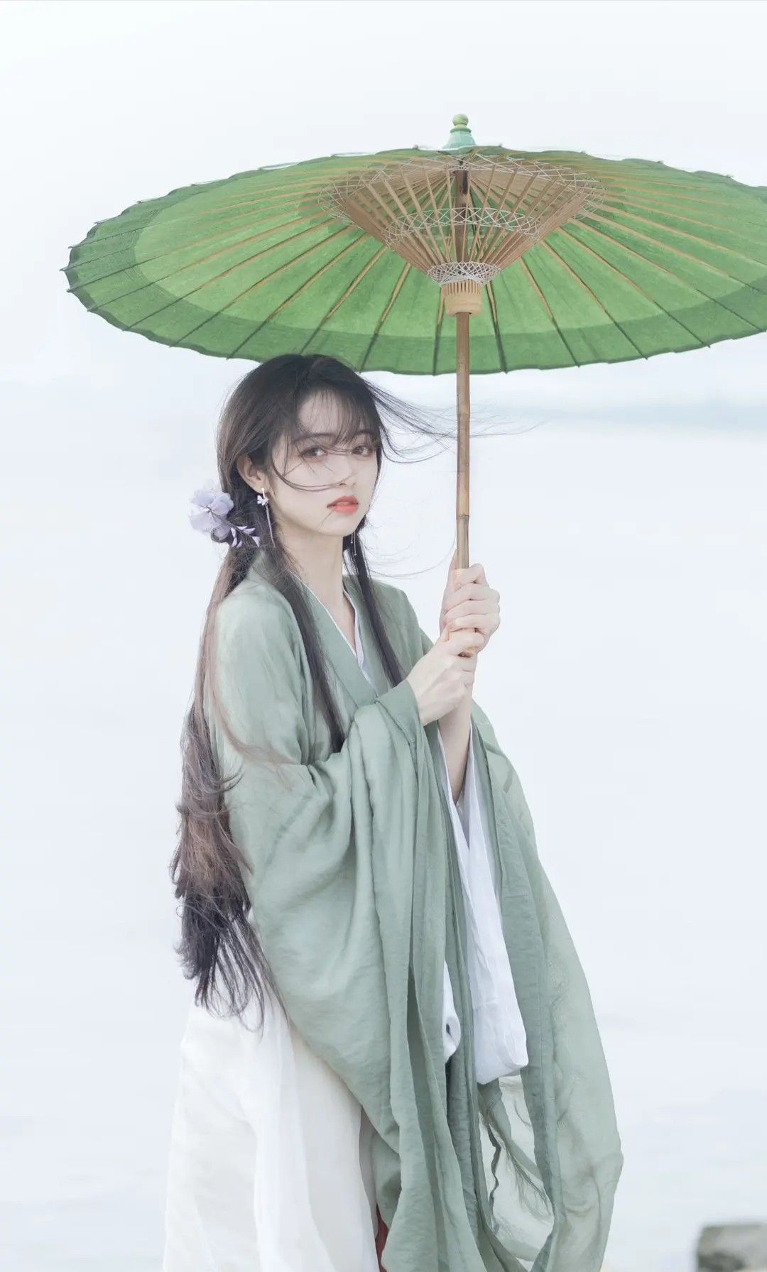 Autumn and Winter Womens Ming-Style Hanfu Fashion:A Blend of Tradition and Modernity Autumn and Winter Womens Ming-Style Hanfu Fashion:A Blend of Tradition and Modernity