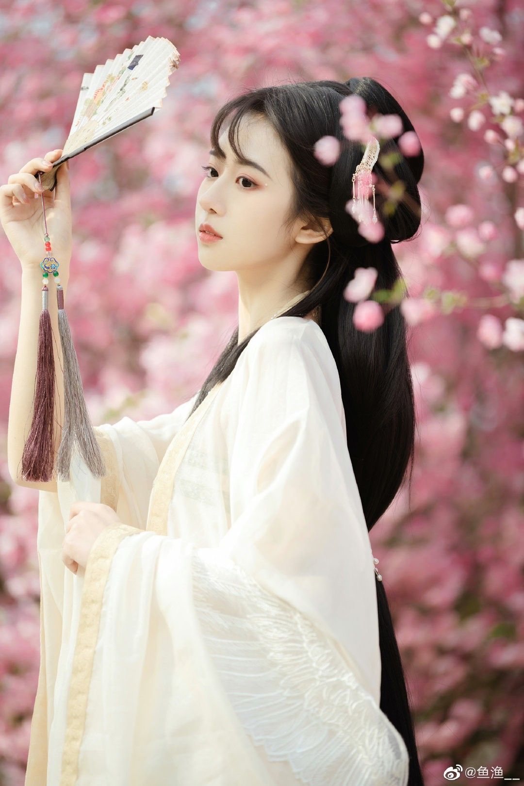 The Dust Snow Collection:The Artistry of Horseface Skirts in Traditional Chinese Fashion The Dust Snow Collection:The Artistry of Horseface Skirts in Traditional Chinese Fashion