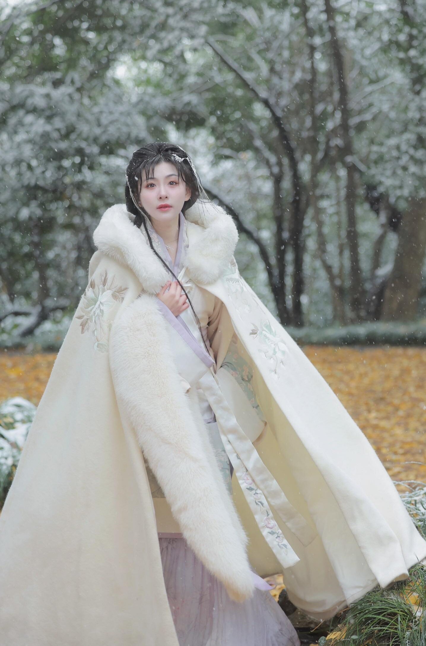 Princess-Inspired Hanfu Fairy Skirt in Spring and Autumn Princess-Inspired Hanfu Fairy Skirt in Spring and Autumn