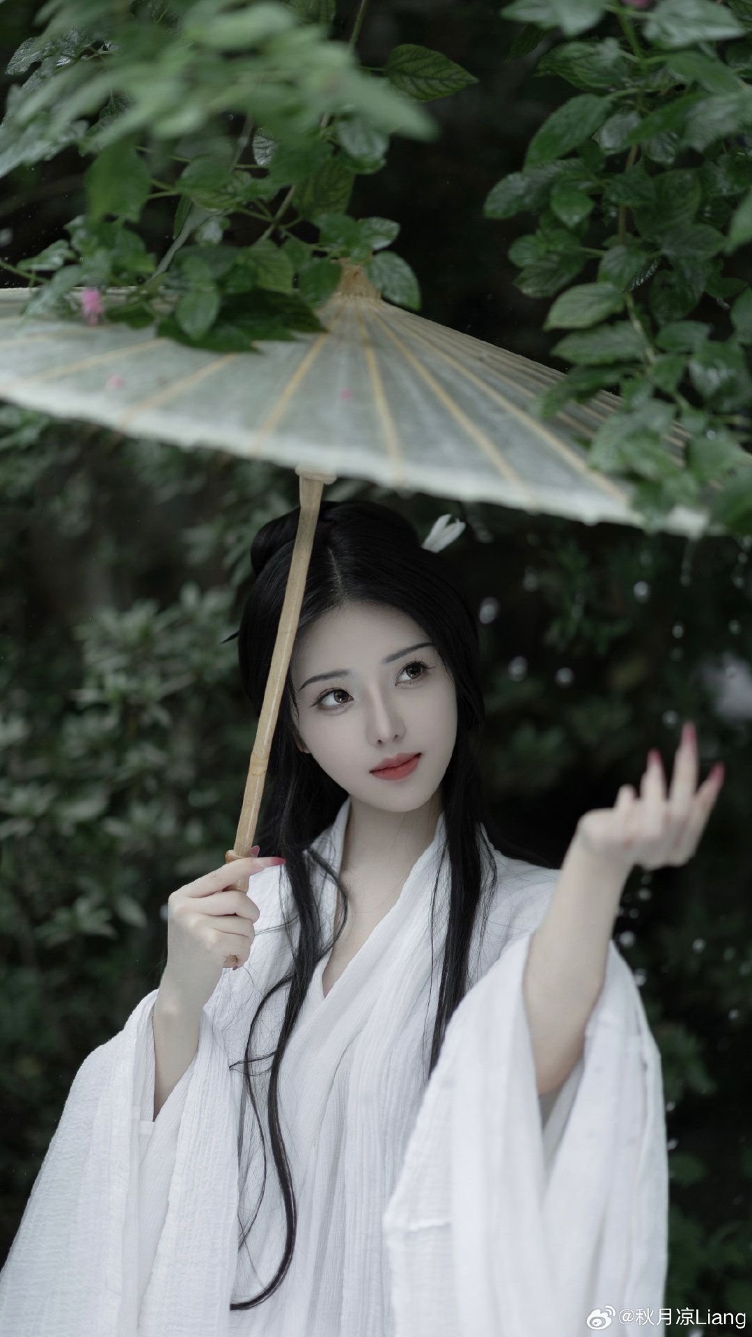 New Years Armor:The Revival of Traditional Chinese Song-Style Hanfu New Years Armor:The Revival of Traditional Chinese Song-Style Hanfu