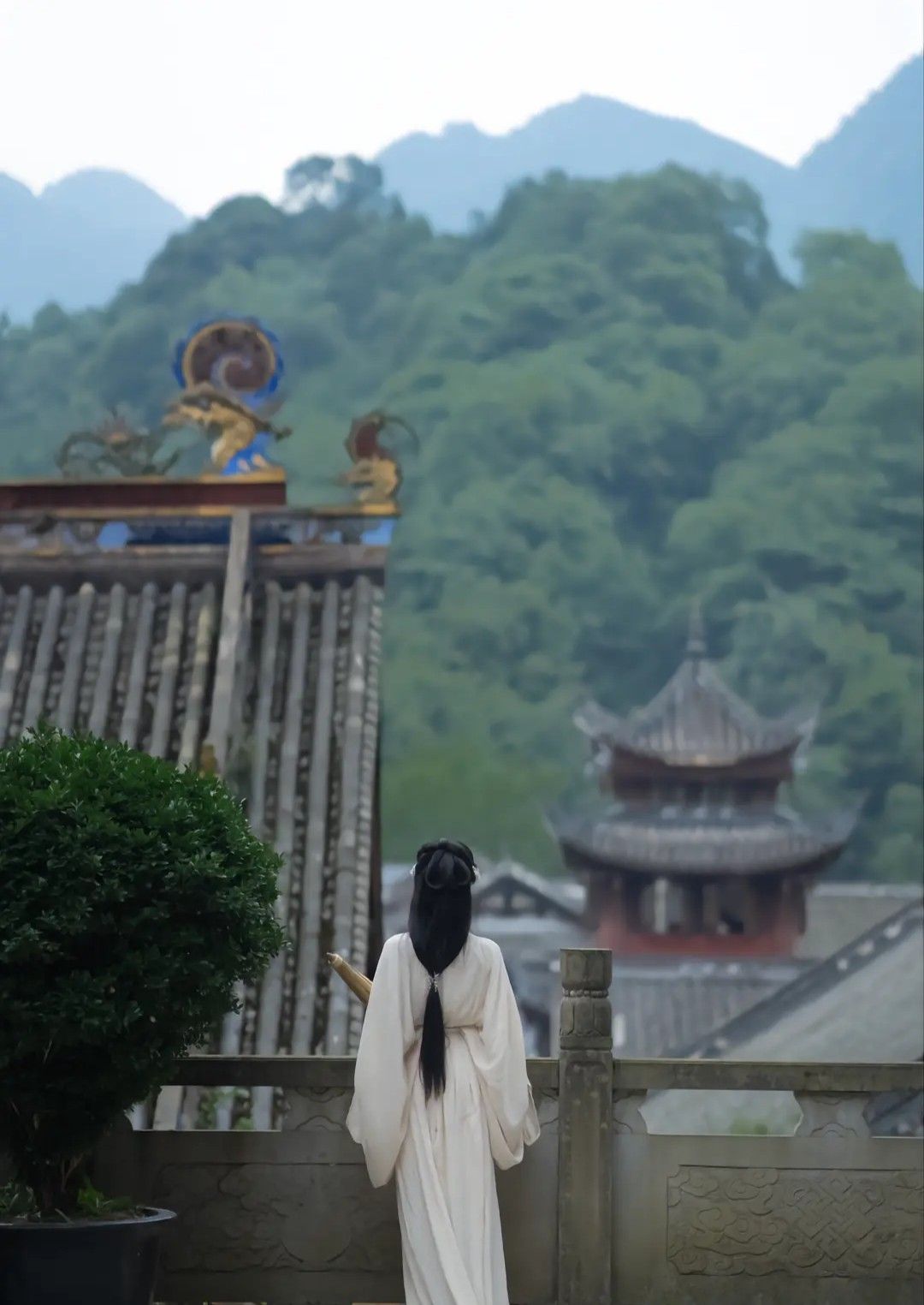 The Rise of Hanfu One-Piece Pleated Skirts:A Journey into Traditional Elegance The Rise of Hanfu One-Piece Pleated Skirts:A Journey into Traditional Elegance