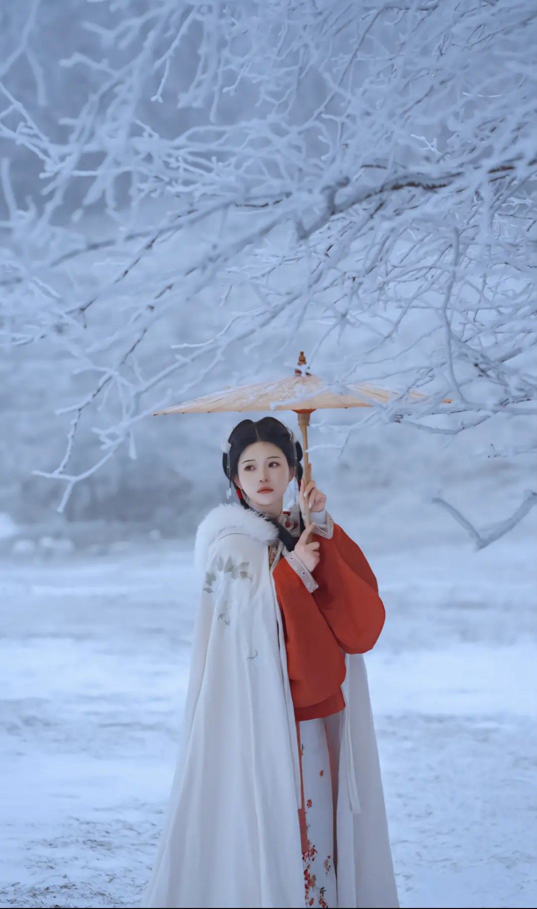 Winter Red Hanfu Cape:A Tale of Traditional Elegance for Women Winter Red Hanfu Cape:A Tale of Traditional Elegance for Women