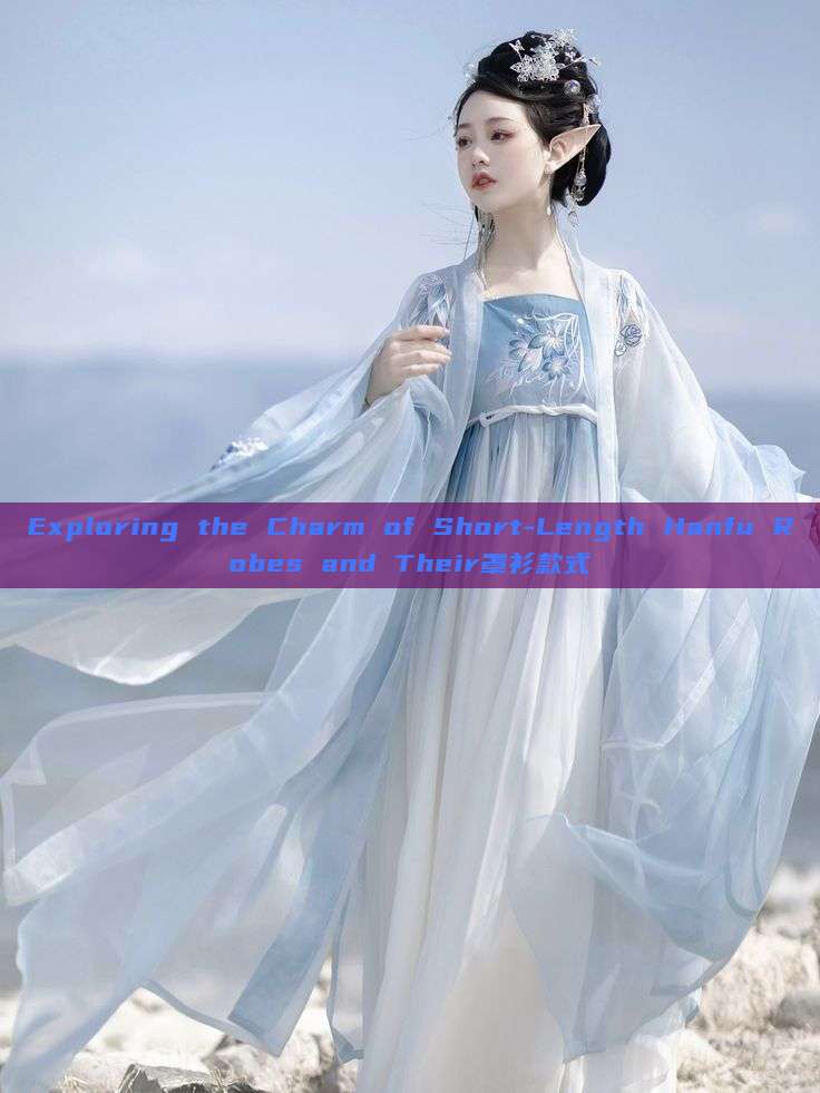 Exploring the Charm of Short-Length Hanfu Robes and Their罩衫款式 Exploring the Charm of Short-Length Hanfu Robes and Their罩衫款式