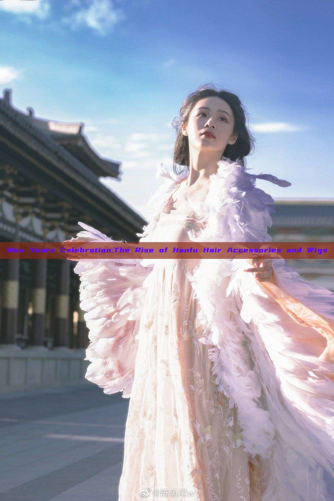 New Years Celebration:The Rise of Hanfu Hair Accessories and Wigs New Years Celebration:The Rise of Hanfu Hair Accessories and Wigs