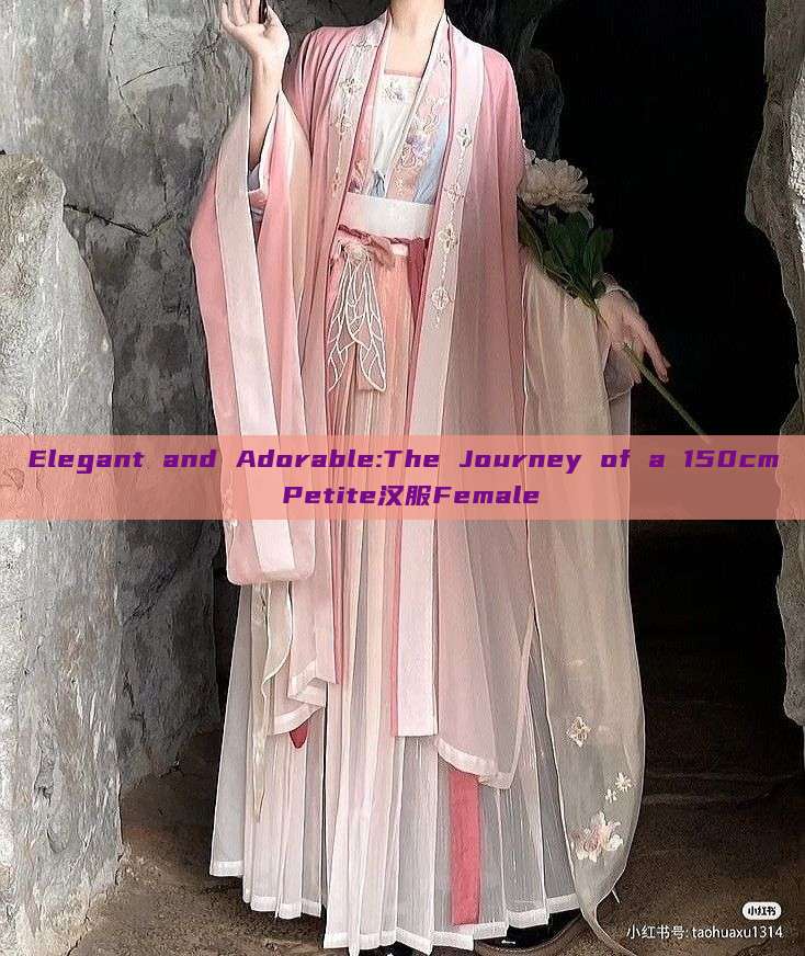 Elegant and Adorable:The Journey of a 150cm Petite汉服Female Elegant and Adorable:The Journey of a 150cm Petite汉服Female