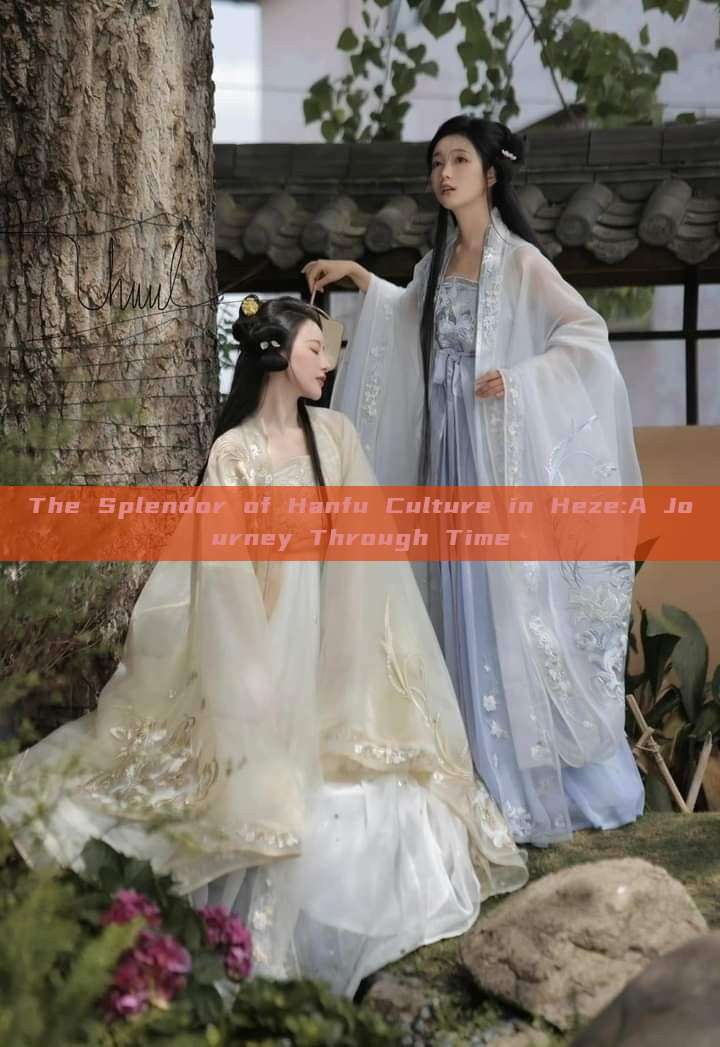 The Splendor of Hanfu Culture in Heze:A Journey Through Time The Splendor of Hanfu Culture in Heze:A Journey Through Time