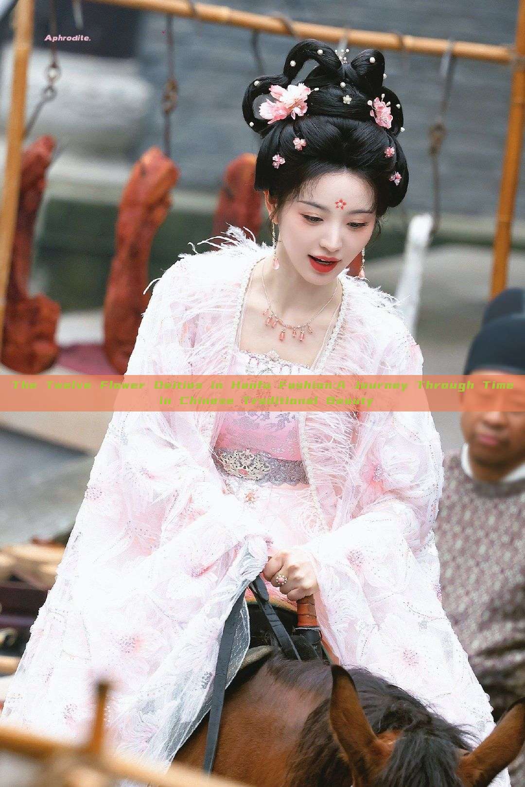 The Twelve Flower Deities in Hanfu Fashion:A Journey Through Time in Chinese Traditional Beauty The Twelve Flower Deities in Hanfu Fashion:A Journey Through Time in Chinese Traditional Beauty