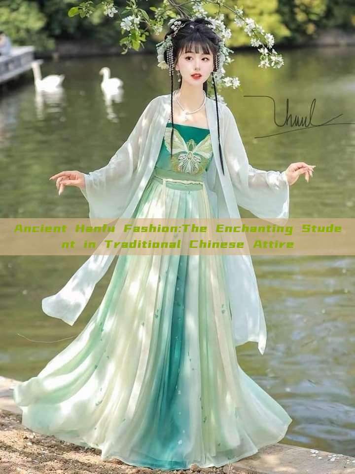 Ancient Hanfu Fashion:The Enchanting Student in Traditional Chinese Attire Ancient Hanfu Fashion:The Enchanting Student in Traditional Chinese Attire