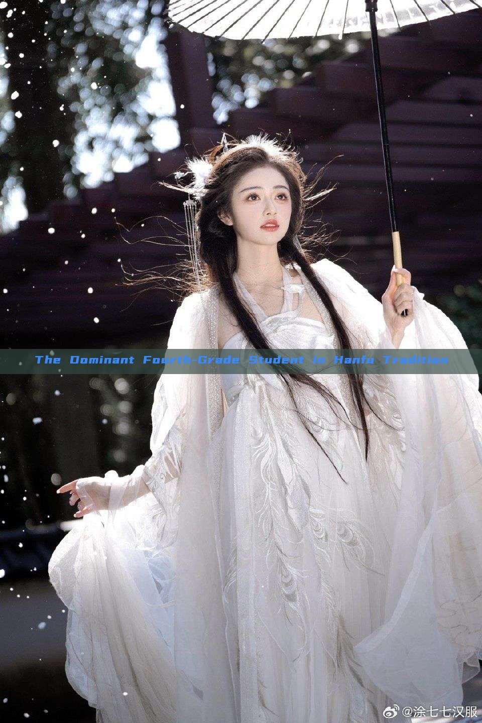 The Dominant Fourth-Grade Student in Hanfu Tradition The Dominant Fourth-Grade Student in Hanfu Tradition