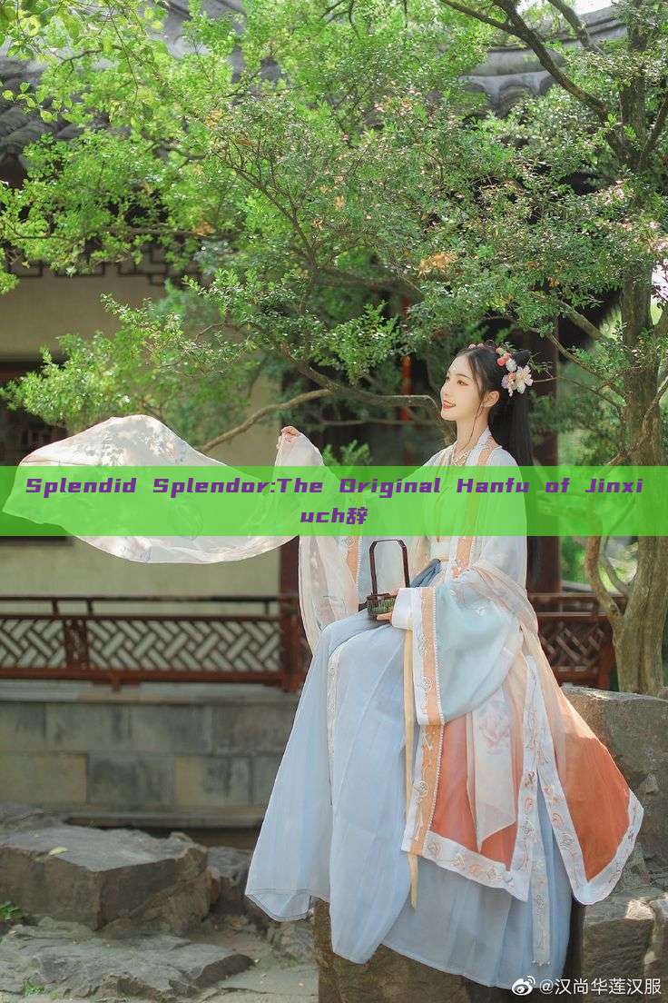 Splendid Splendor:The Original Hanfu of Jinxiuch辞 Splendid Splendor:The Original Hanfu of Jinxiuch辞