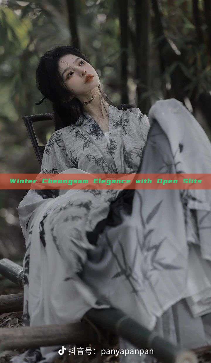 Winter Cheongsam Elegance with Open Slits Winter Cheongsam Elegance with Open Slits