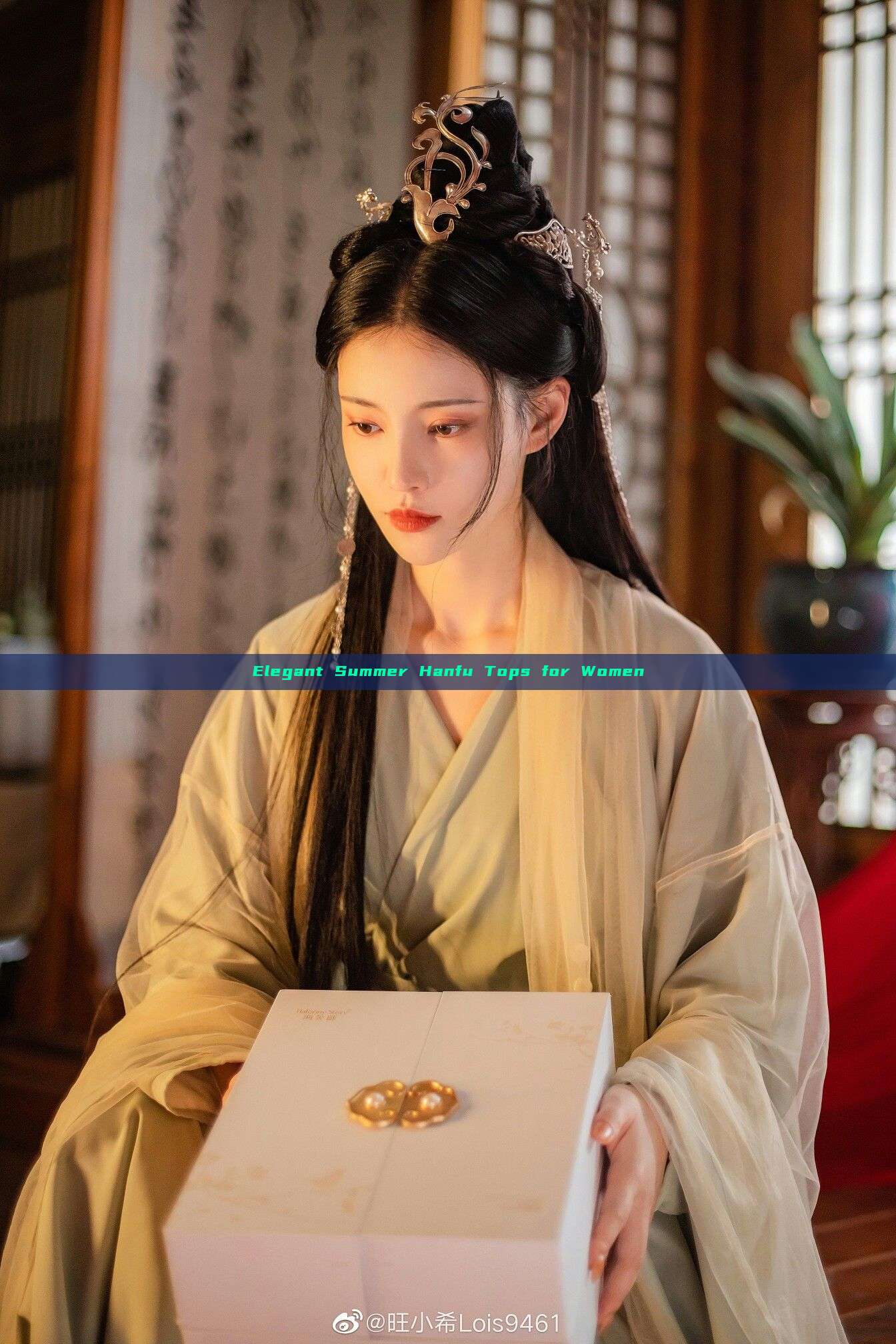 Elegant Summer Hanfu Tops for Women Elegant Summer Hanfu Tops for Women