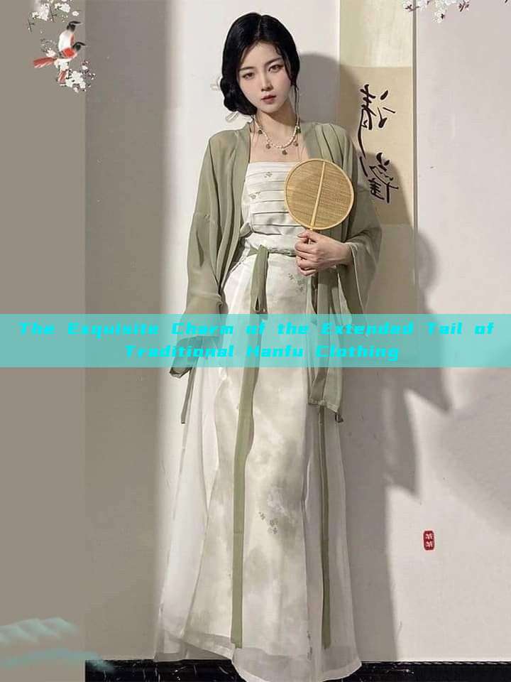The Exquisite Charm of the Extended Tail of Traditional Hanfu Clothing The Exquisite Charm of the Extended Tail of Traditional Hanfu Clothing