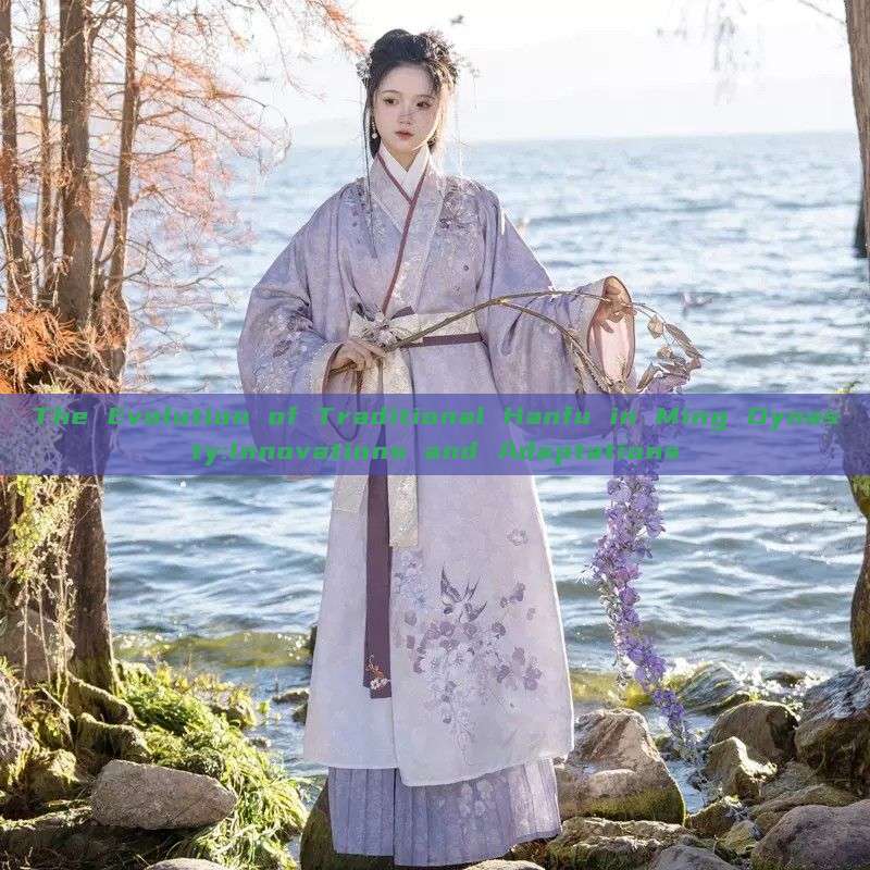 The Evolution of Traditional Hanfu in Ming Dynasty:Innovations and Adaptations The Evolution of Traditional Hanfu in Ming Dynasty:Innovations and Adaptations