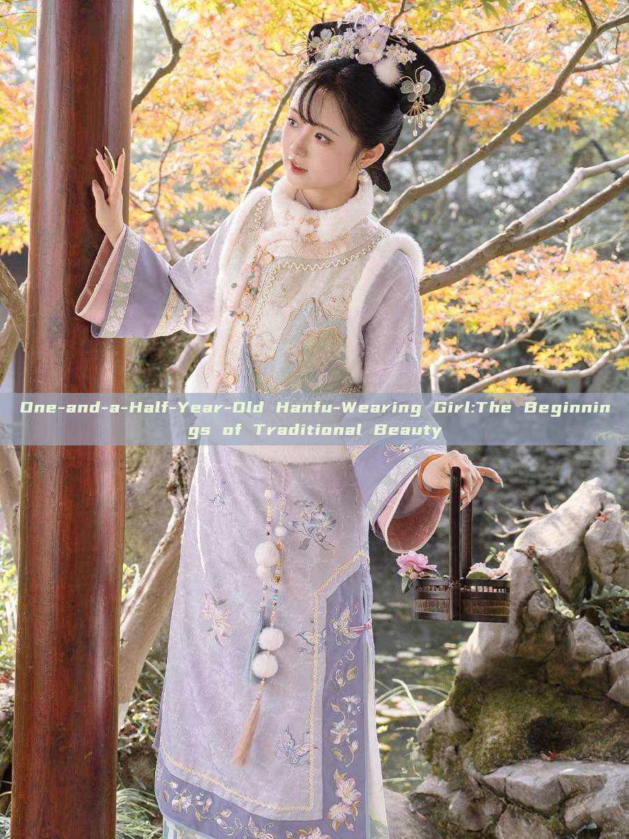 One-and-a-Half-Year-Old Hanfu-Wearing Girl:The Beginnings of Traditional Beauty One-and-a-Half-Year-Old Hanfu-Wearing Girl:The Beginnings of Traditional Beauty