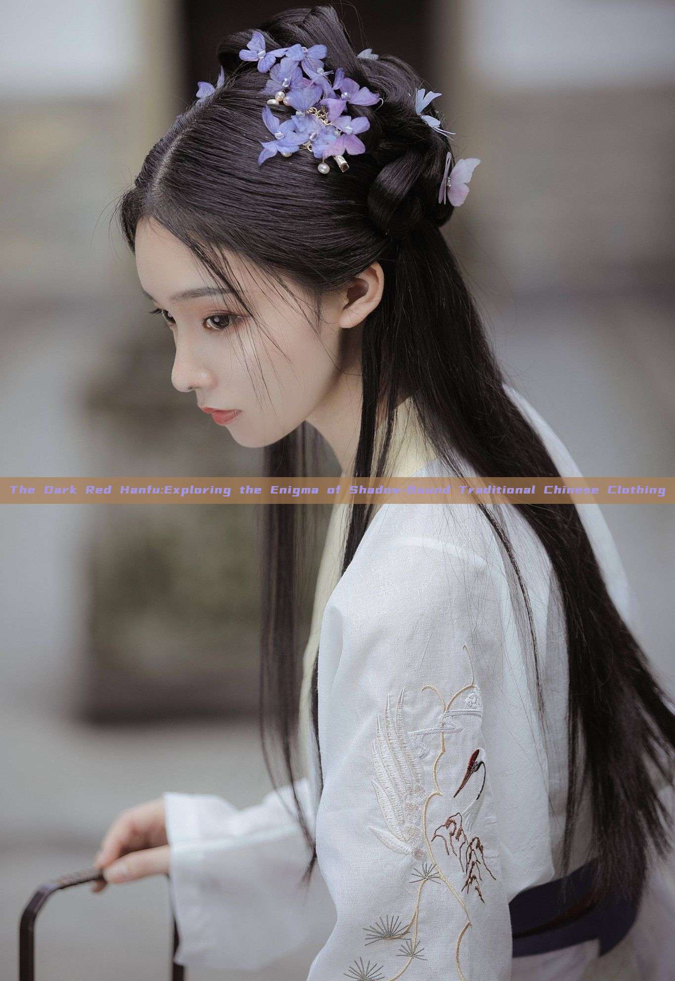 The Dark Red Hanfu:Exploring the Enigma of Shadow-Bound Traditional Chinese Clothing The Dark Red Hanfu:Exploring the Enigma of Shadow-Bound Traditional Chinese Clothing