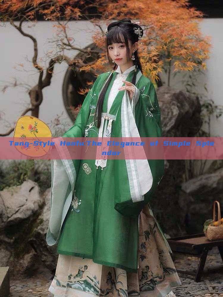 Tang-Style Hanfu:The Elegance of Simple Splendor Tang-Style Hanfu:The Elegance of Simple Splendor