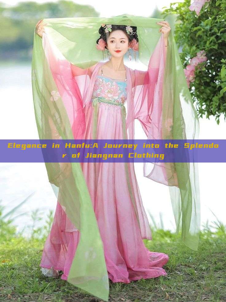 Elegance in Hanfu:A Journey into the Splendor of Jiangnan Clothing Elegance in Hanfu:A Journey into the Splendor of Jiangnan Clothing
