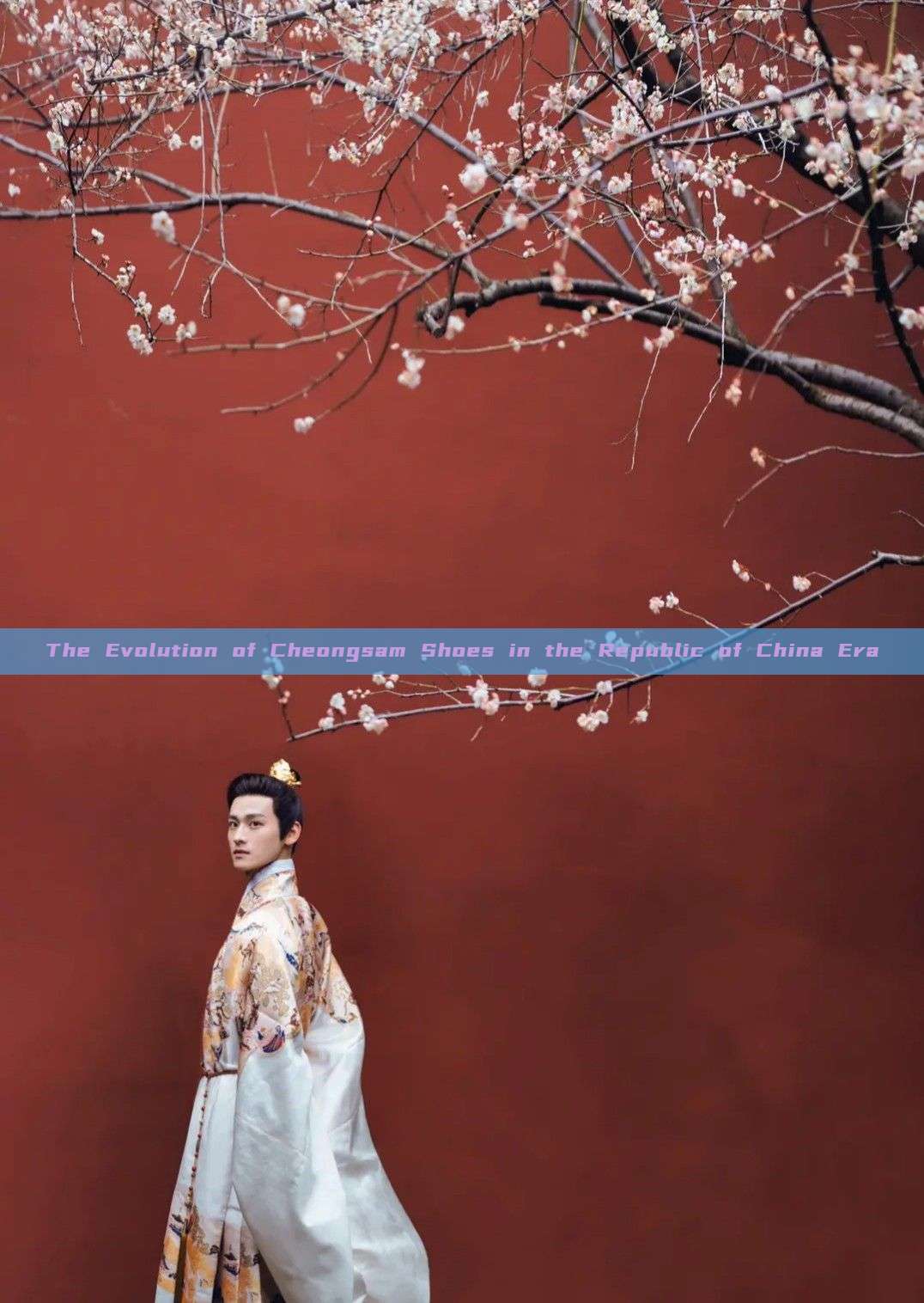 The Evolution of Cheongsam Shoes in the Republic of China Era The Evolution of Cheongsam Shoes in the Republic of China Era