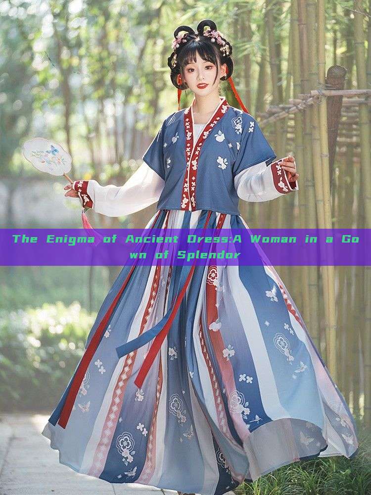 The Enigma of Ancient Dress:A Woman in a Gown of Splendor The Enigma of Ancient Dress:A Woman in a Gown of Splendor
