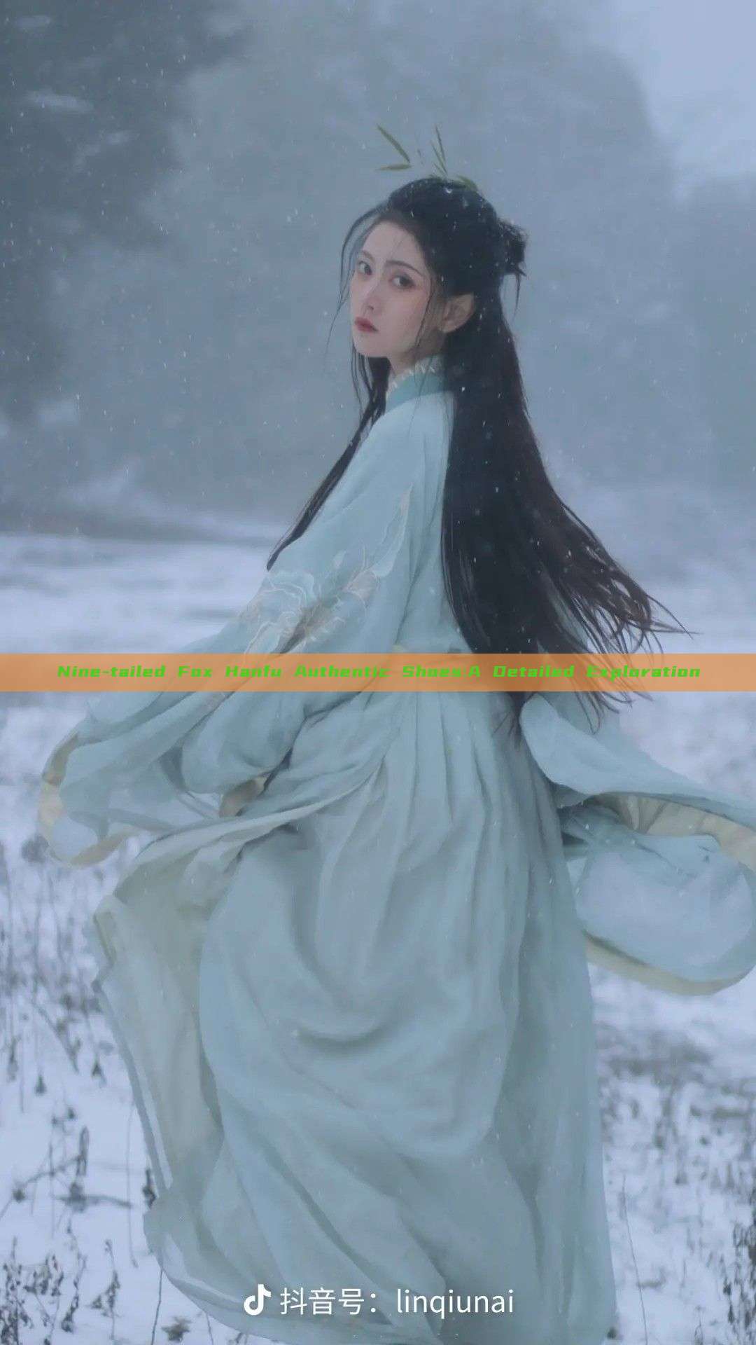Nine-tailed Fox Hanfu Authentic Shoes:A Detailed Exploration Nine-tailed Fox Hanfu Authentic Shoes:A Detailed Exploration